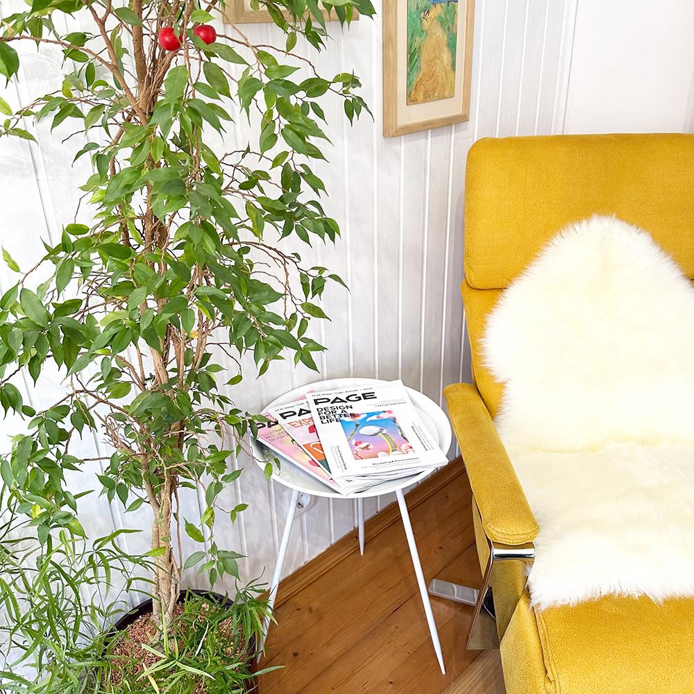 Detailansicht des Studios. Der gelbe Inspirations-Sessel, diverse Zeitschriften und eine Grünpflanze. | DREIVIERTELNEUN Digital Design Studio